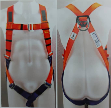 Beesafe Full Body Harness Image