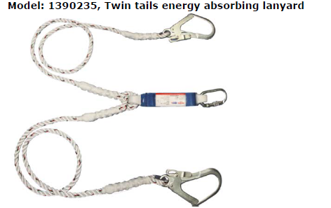 Protecta Twin Tails Energy Absorbing Lanyard Image